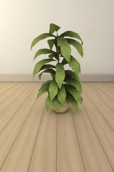 Mölnbo Plant custom content (CC) for Sims 4 by NOSTYLEXWOODLAND